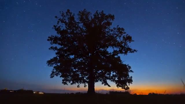 Я Белый Рус! ВАМ НАДО ПОСМОТРЕТЬ И ПОСЛУШАТЬ ЭТУ ПЕСНЮ! смотреть онлайн