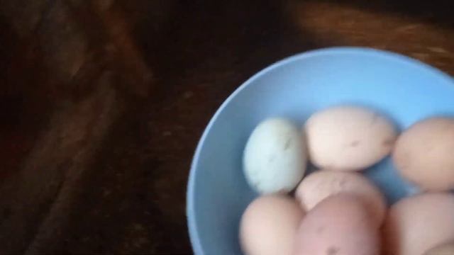Сибирь 10- 11 февраля/ курицы занеслись/ переработка мяса/ баня смотреть онлайн