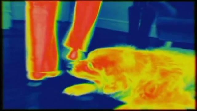 Air Conditioning & Heat Pumps - Panasonic Promotional Video смотреть онлайн