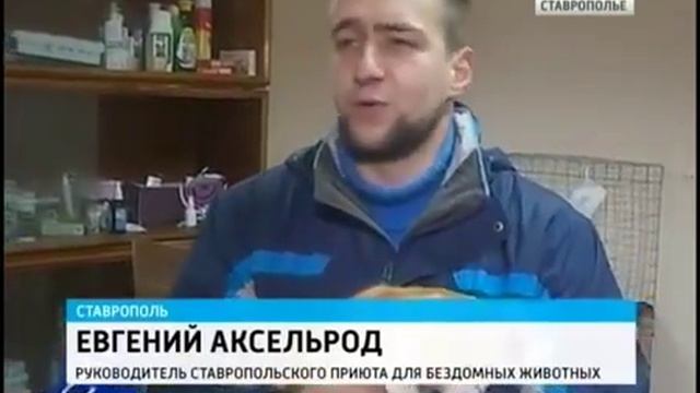 И животным необходимо благословение смотреть онлайн