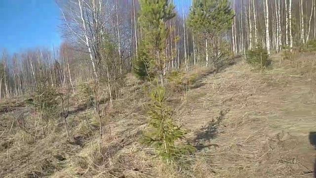 День на хозяйстве. Мы отказались от интернета. смотреть онлайн