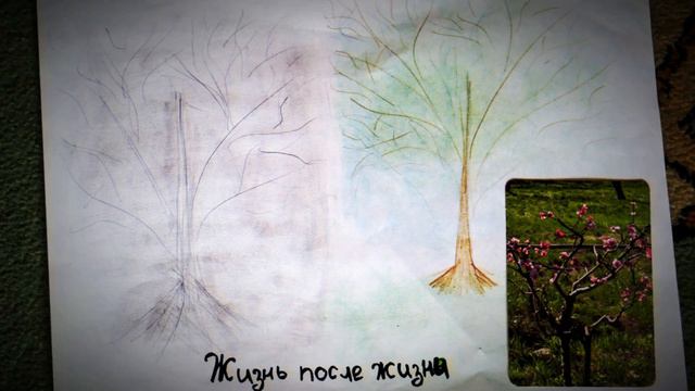 Авторский тренинг «КТО Я? КАКОЙ Я? » Ведущие Ольга Бойкова и Марина Гурбина смотреть онлайн