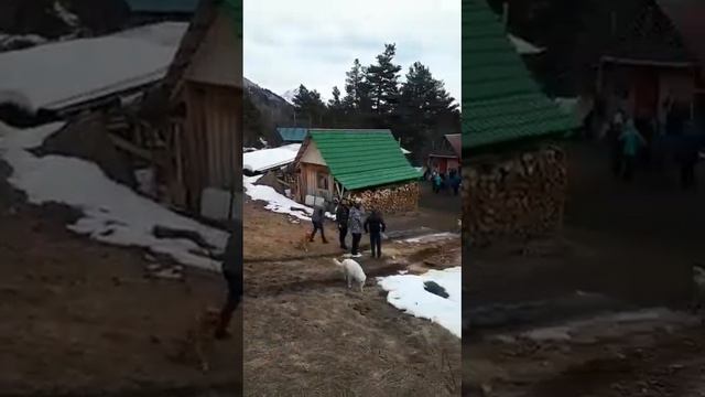 Мухинсое ущелье... смотреть онлайн