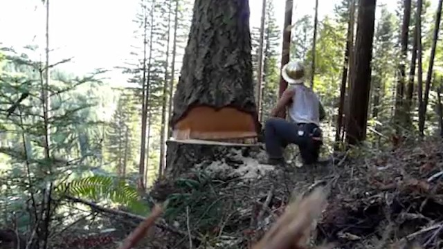 Пособие для лесоруба смотреть онлайн