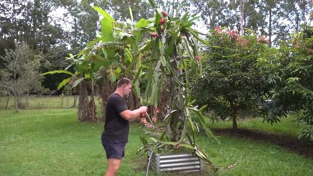 10 Food Crops to GROW That You CAN'T BUY at the Supermarket смотреть онлайн