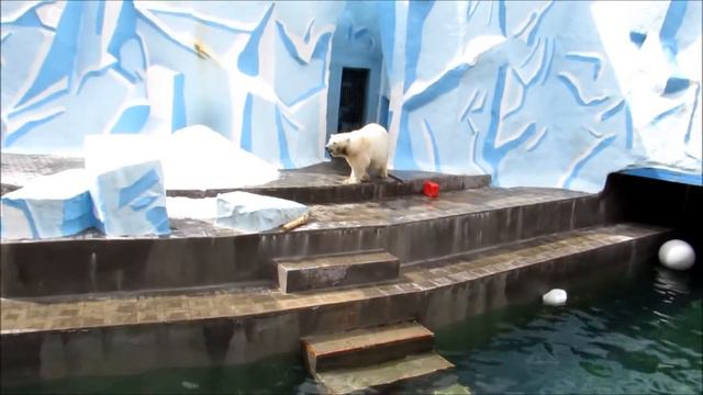 Кай плавает, а Герда думает 22.05.18 смотреть онлайн