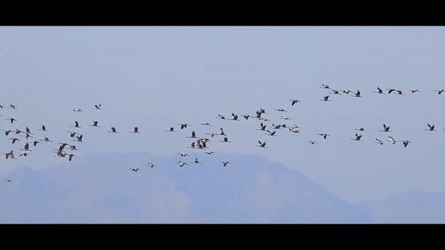 Воздушный Вальс Тимур Максимов - Air Valse by Timur Maksimov смотреть онлайн