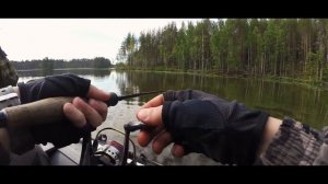 Рыбалка на окуня. Вертушка Pontoon 21 Ball Concept №1 сделала рыбалку.