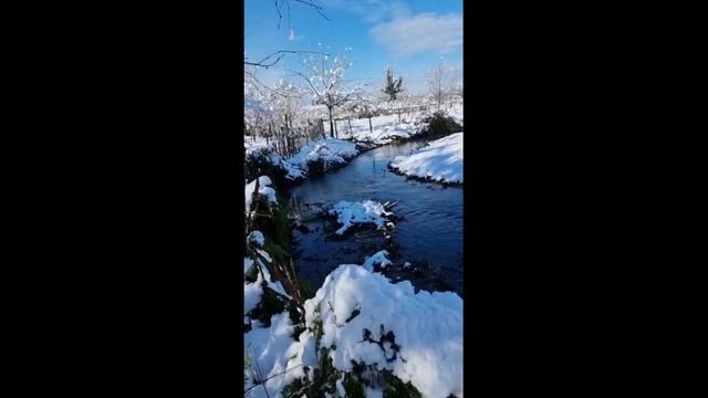 Дом с участком у реки в пригороде Озургети Грузия смотреть онлайн