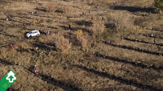 Посади лес в Алтайском крае 9 октября 2021 смотреть онлайн