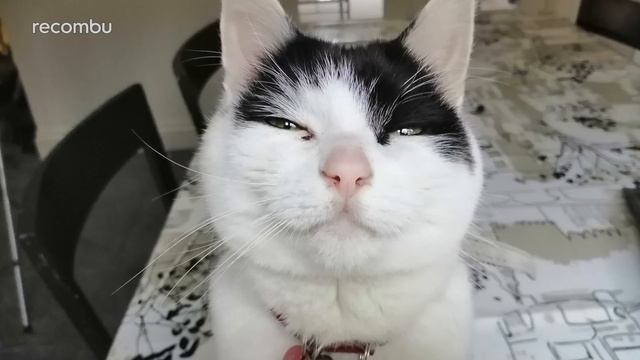 Honor 10 Lite Camera Review | Night Mode, Check