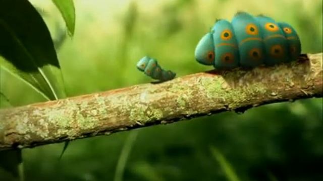 Насекомые Две гусеницы. смотреть онлайн