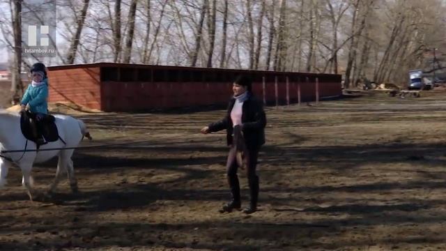 Что новенького: уроки верховой езды смотреть онлайн