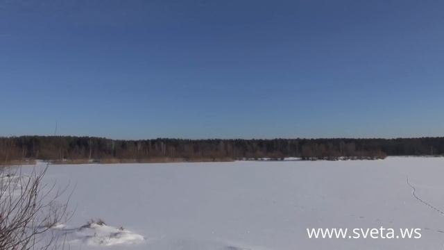 Зимний лес / Читаю стихи смотреть онлайн