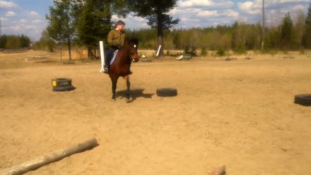 Змейка на лошади смотреть онлайн