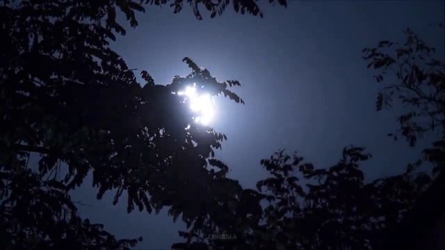 Ах, Ваших губ изгиб... Романс на стихи Ирины Фетисовой (Mullerson). Музыка, исполнение: Марк Фуксов смотреть онлайн