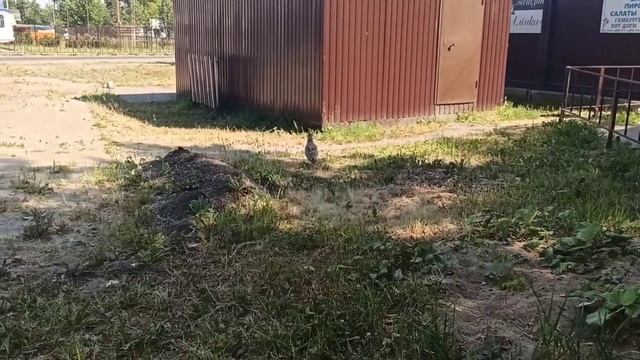 Природа Чудес