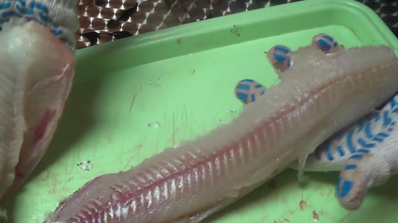 Как снять кожу с щуки для филе смотреть онлайн