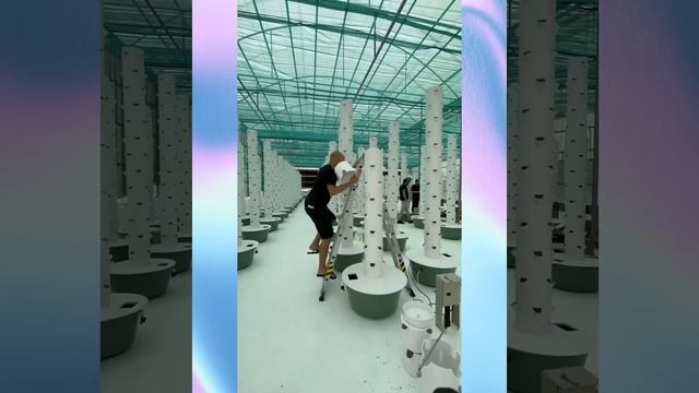 Alat Pertanian Kreatif Yang Berfungsi Dengan Baik смотреть онлайн