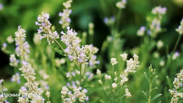 Муж бросил жену с детьми и ушел к любовнице, но он даже не ожидал такого ответа...