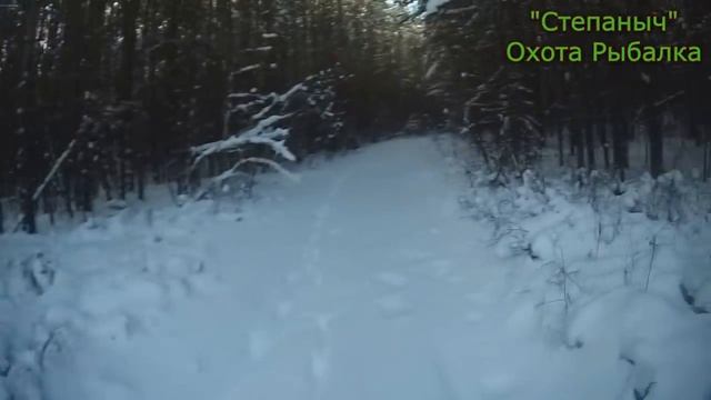 На мотобуксировщике по Нижней дороге Чужая собака (1 часть) 09 11 20 смотреть онлайн
