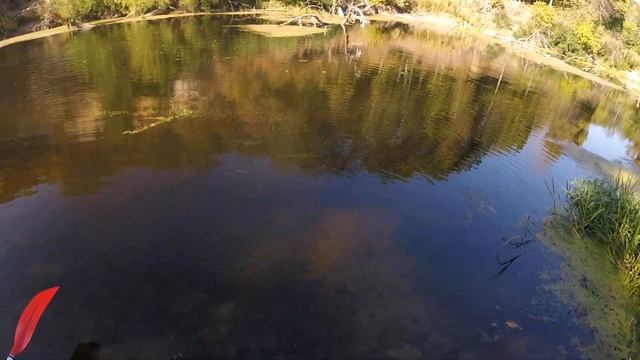 (ЧАСТЬ 10) Сплав на байдарке. Кунцево - Новые Санжары смотреть онлайн