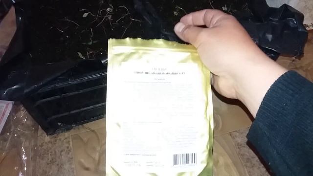 Выращивание грибов с сухого мицелия на приусадебном участке. Эксперимент. Часть 1. смотреть онлайн