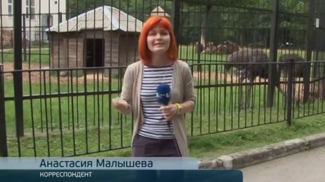 В один вольер смотреть онлайн