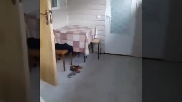 База отдыха Чайка 2 Домик #4 смотреть онлайн