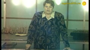 Какие должны быть условия хранения картофеля?