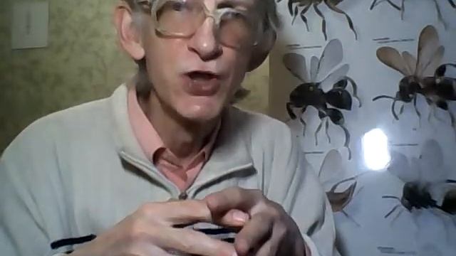 Как Избавиться от Жучков и Моли На Кухне? Обзор Энтомолога. Взгляд Эксперта. Stream (Full Lecture). смотреть онлайн