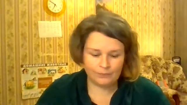 За год до школы. Знания, навыки и умения будущего первоклассника. смотреть онлайн