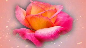 Футаж. Цветочный фон 62