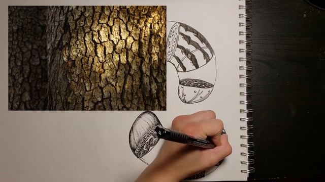 Draw a Box Lesson: 2 (Exercises 1, 2, 3) || Mithril Learns to Draw Ep. 7 смотреть онлайн