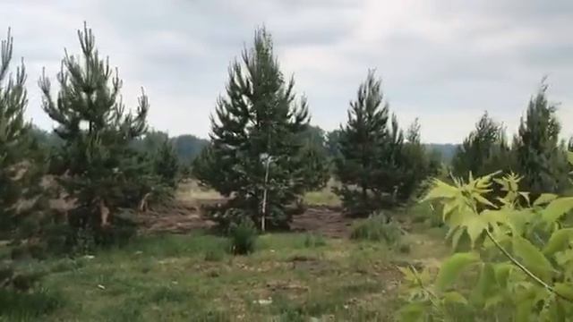 Дом Куршавель 84 площадью 64 м2 Новосибирск смотреть онлайн