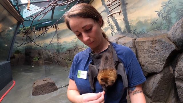 Happy National Zoo Keeper Week! смотреть онлайн