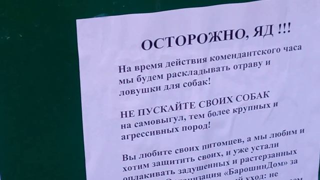 К сожалению, большинство людей не используют свой мозг в жизни вообще смотреть онлайн