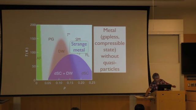 Subir Sachdev "The 'normal' states of the cuprates" (Part 2 of 2) смотреть онлайн