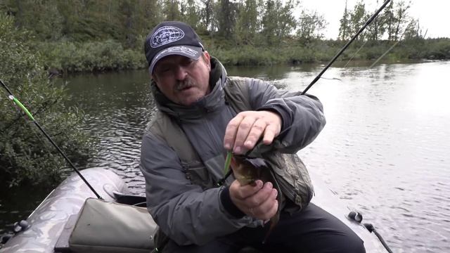 TWITCHING PRO - подробно об одной из самых популярных серий.