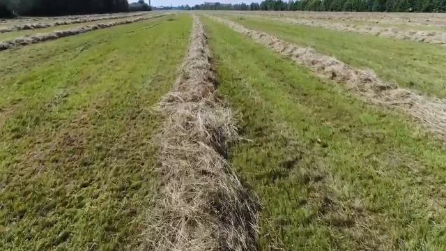 CORSA Фиксированная камера, цепочно-планчатый механизм прессования смотреть онлайн