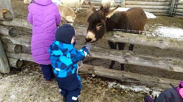 Семен и ослик Иа смотреть онлайн