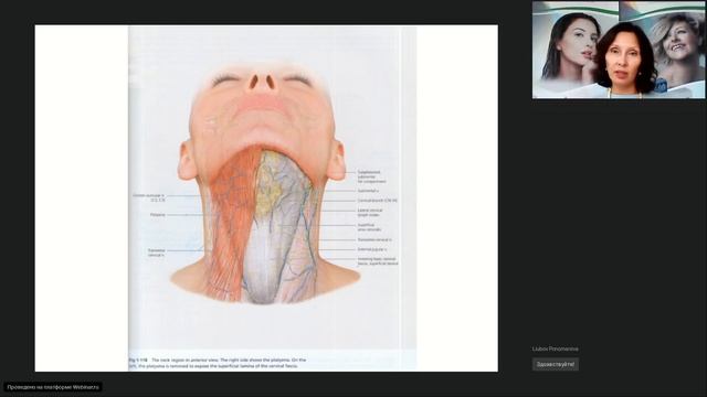 Восстанавливаем зоны шеи и декольте после загара и летнего отдыха смотреть онлайн