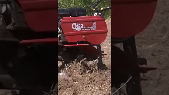 Мотоблок Ока, двигатель lifan186, 6,5л.с, обработка огорода #рекомендации #деревня #дача #огород смотреть онлайн