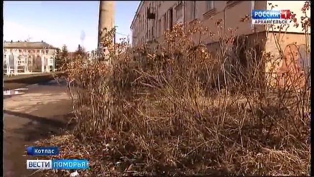 В Котласе появится Бульвар Искусств смотреть онлайн