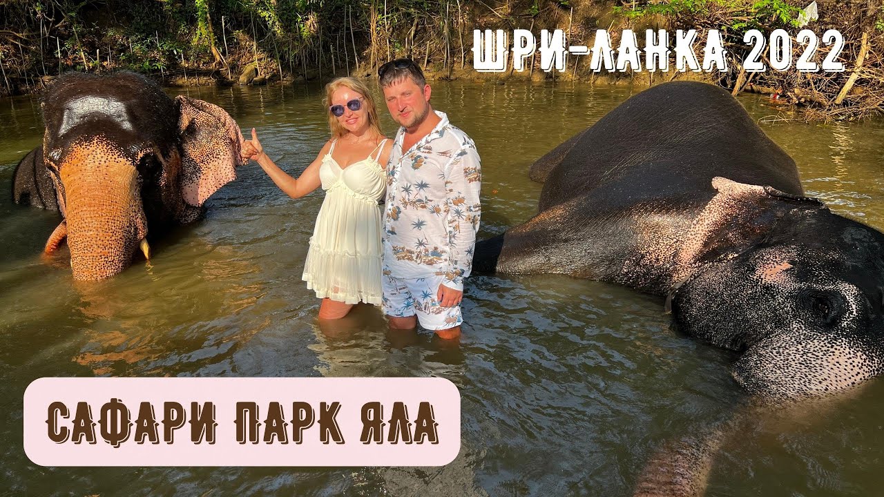 Шри ланка 2022! Сафари на джипах! Национальный парк Яла!.mkv смотреть онлайн