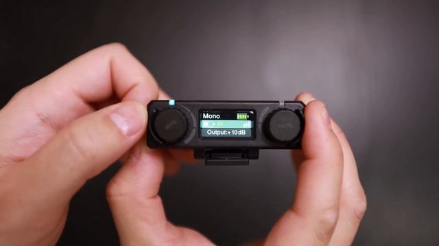 Smaller and Better than Rode Wireless Go...Killer?! | Hollyland LARK 150 смотреть онлайн