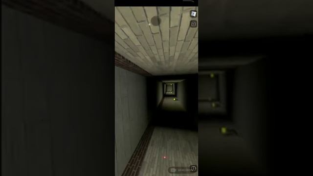 Играю в роблокс хожу по страшному лабиринту смотреть онлайн