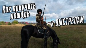 Лошадь для охоты.Приучение лошади к выстрелам. Охота на лошади.