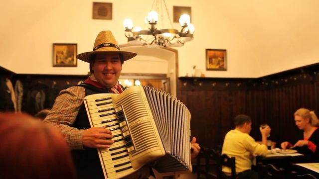 Awesome Accordionist @ 