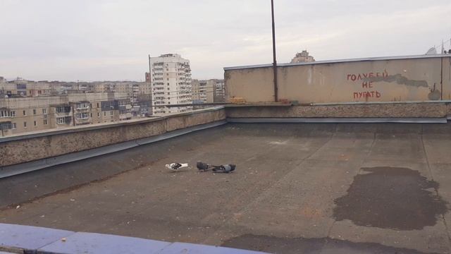 Луганск 24 02.2022.